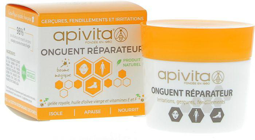 ONGUEMENT REPARATEUR, GERÇURES, FENDILLEMENTS ET IRRITATIONS POT DE 50 ML