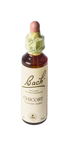 Image FLEURS DE BACH ORIGINAL CHICORY 20ML