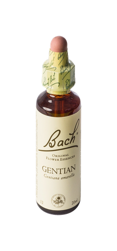 Image FLEURS DE BACH ORIGINAL GENTIAN 20ML