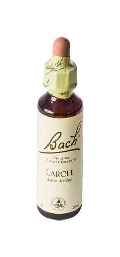 Image FLEURS DE BACH ORIGINAL LARCH 20ML