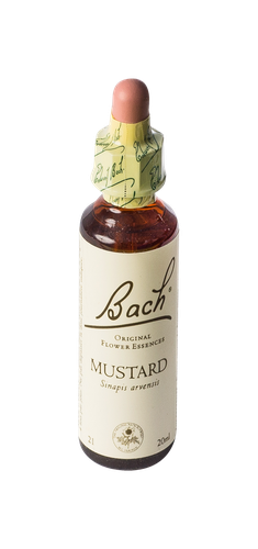 Image FLEURS DE BACH ORIGINAL MUSTARD 20ML