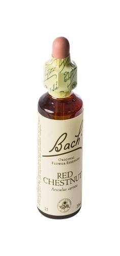 Image FLEURS DE BACH ORIGINAL RED CHESTNUT 20ML