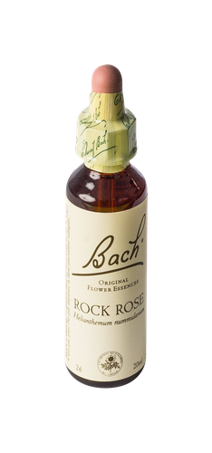 Image FLEURS DE BACH ORIGINAL ROCK ROSE 20ML