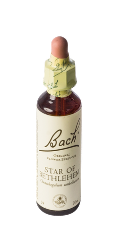 Image FLEURS DE BACH ORIGINAL STAR OF BETHLEHEM 20ML
