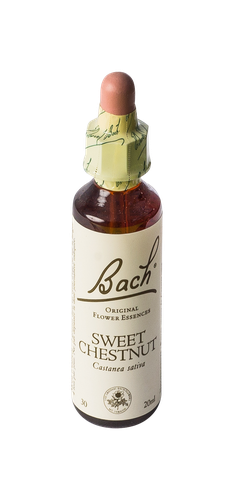 Image FLEURS DE BACH ORIGINAL SWEET CHEST 20ML