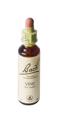 Image FLEURS DE BACH ORIGINAL VINE 20ML