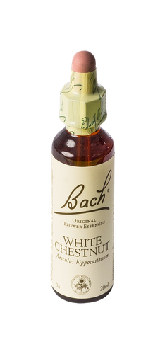 Image FLEURS DE BACH ORIGINAL WHITE CHESTNUT 20ML