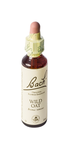 Image FLEURS DE BACH ORIGINAL WILD OAT 20ML